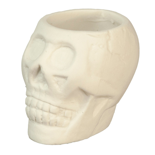 Halloween Skull Container